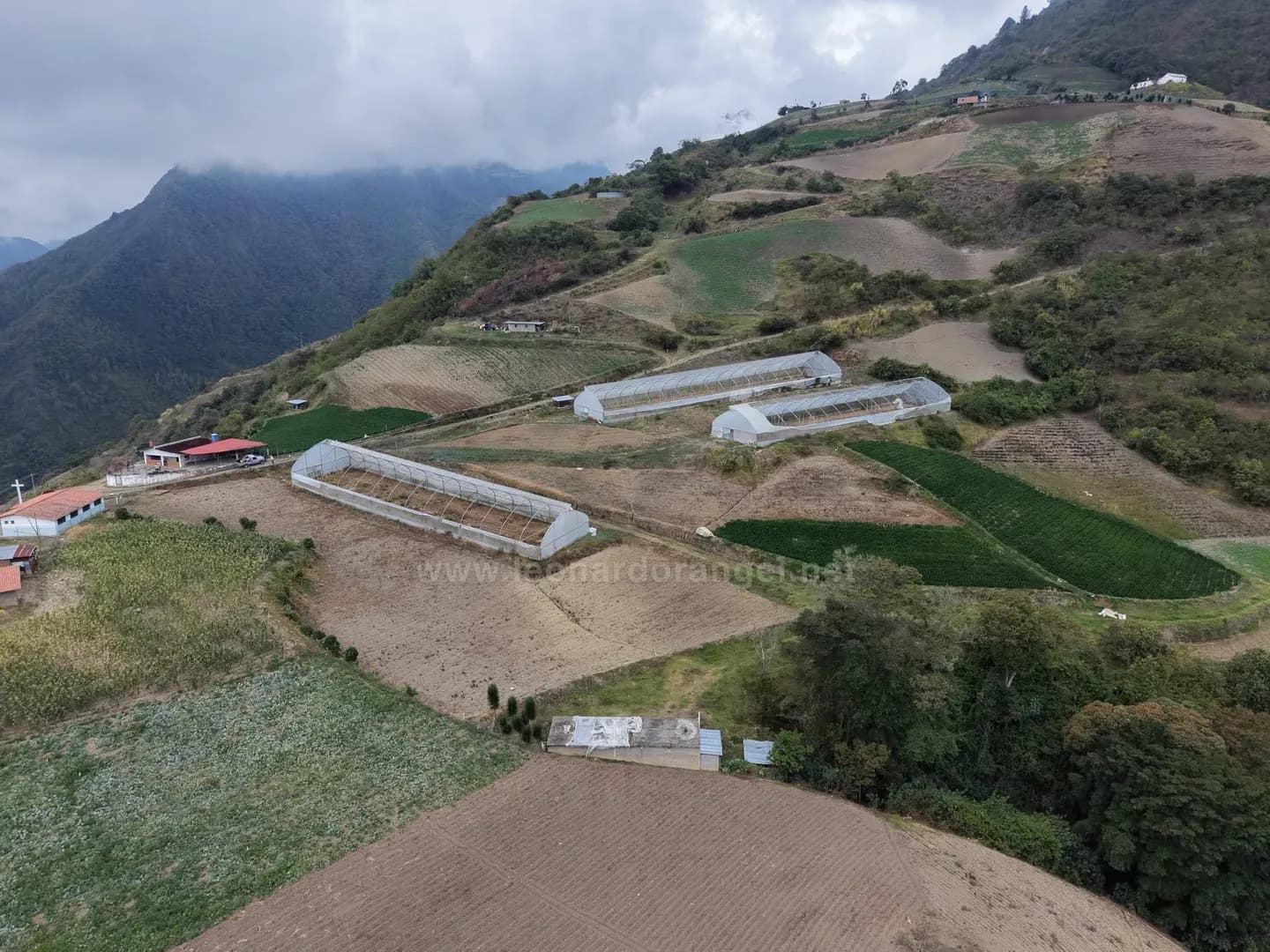 Invernaderos y barbechos de la finca en Altamira de Garabulla, Timotes, Mérida